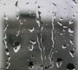 Image of aniraindropswindow.gif